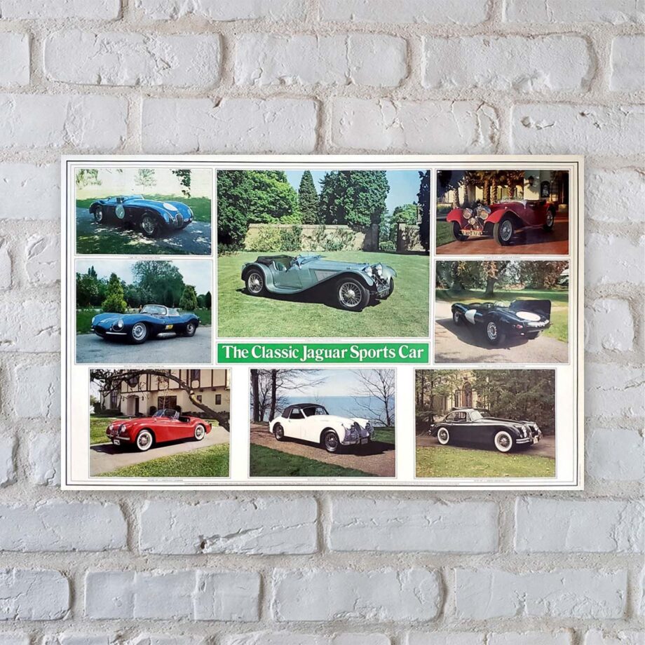 Jaguar Classic Sports Cars Poster