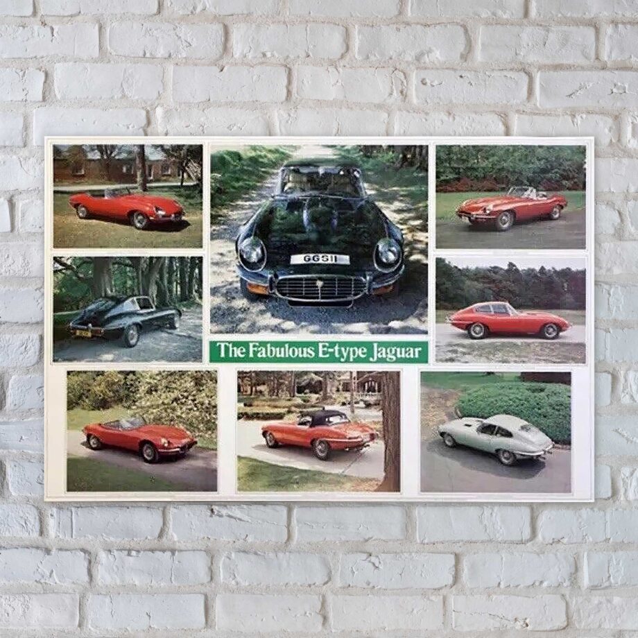 Jaguar E-Type History Poster